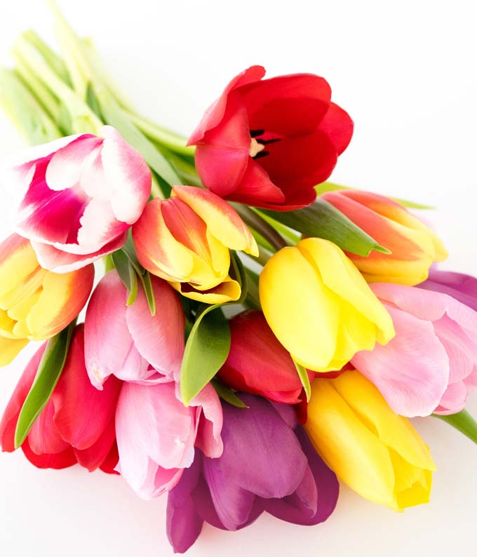 F-023_A3.jpg Fifteen Rainbow Tulip Bouquet - Image 4