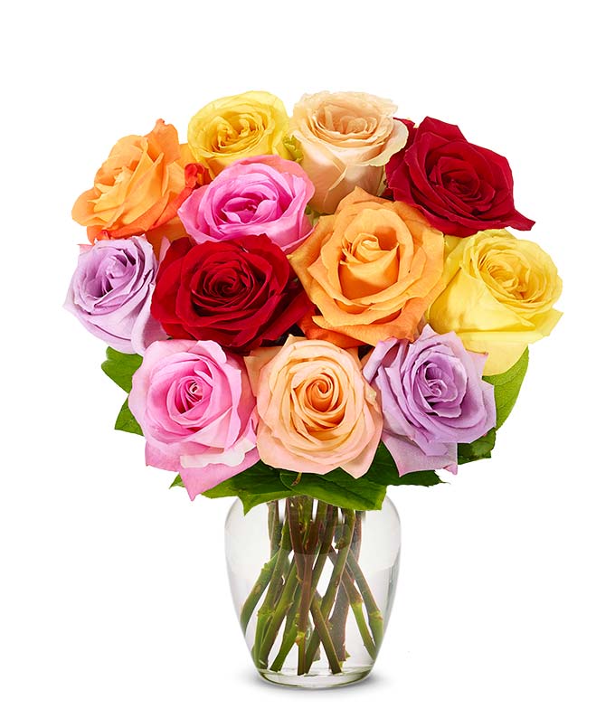 F-029.jpg One Dozen Rainbow Roses