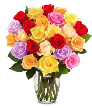 Two Dozen Rainbow Roses