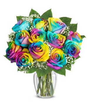 Twelve Wild Rainbow Apology Roses