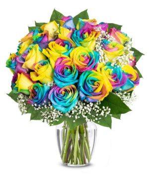 Two Dozen Wild Rainbow Apology Roses
