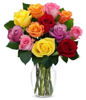 One Dozen Rainbow Roses