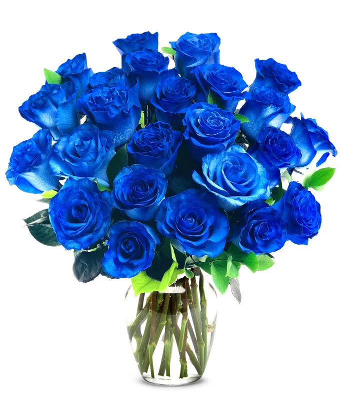 F-172.jpg Two Dozen Blue Roses