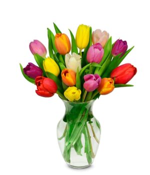 Rainbow Tulip Bouquet - 15 Stems
