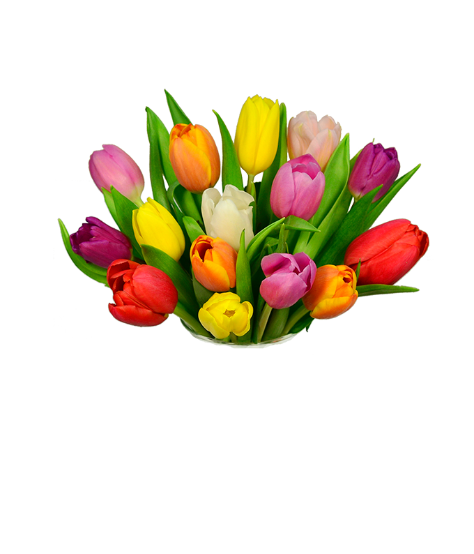F-203_H.png Rainbow Tulip Bouquet - 15 Stems - Image 2