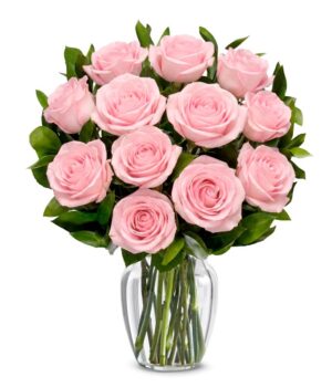 One Dozen Light Pink Roses
