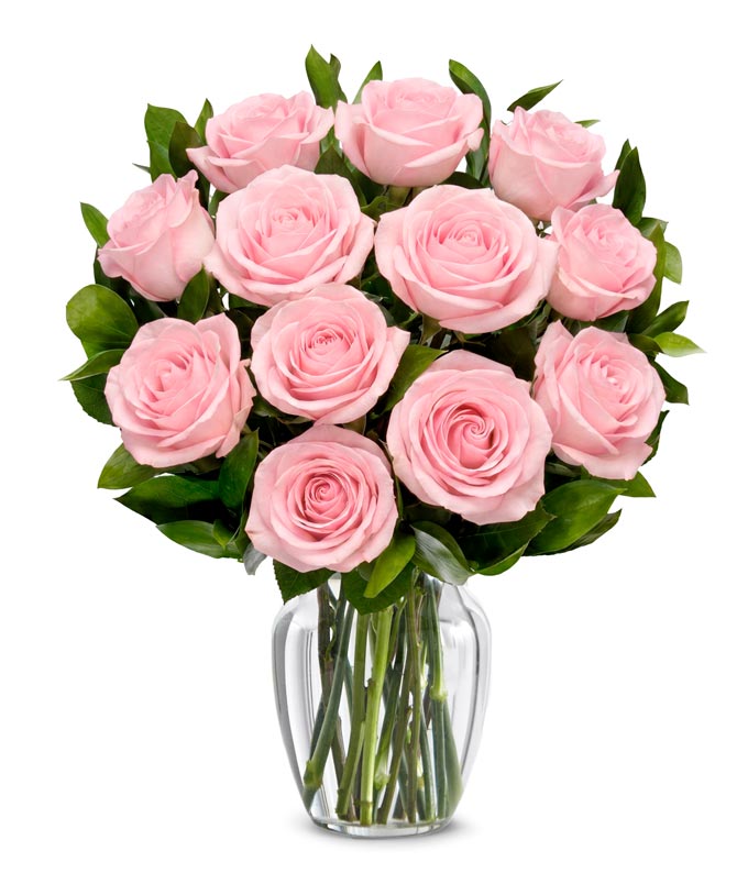 F-209.jpg One Dozen Light Pink Roses