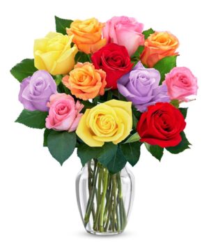 One Dozen Rainbow Roses
