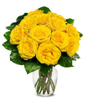 One Dozen Yellow Roses