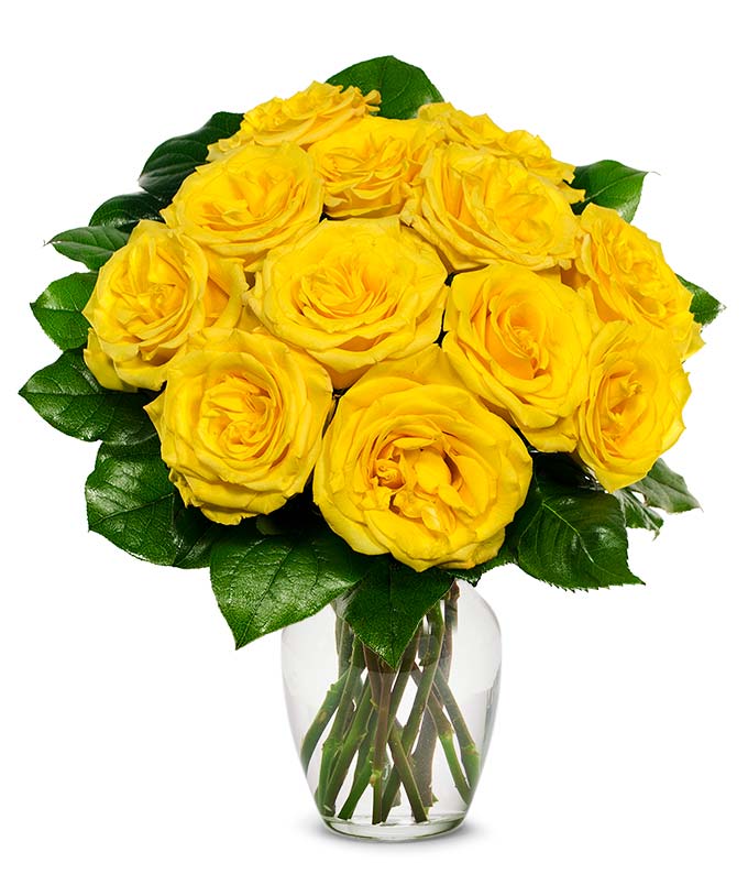 F-213.jpg One Dozen Yellow Roses