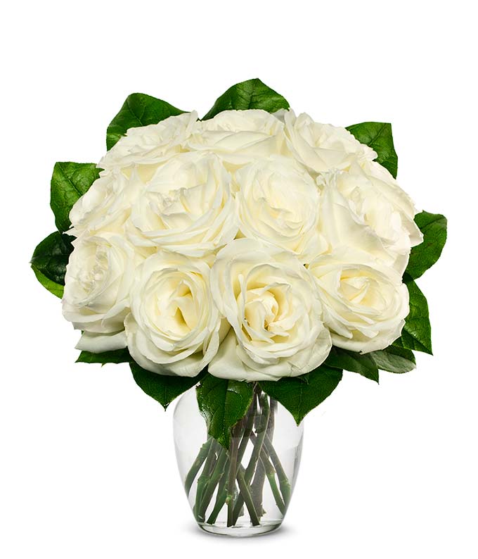 F-214.jpg One Dozen White Roses