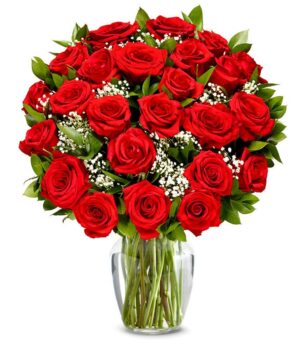 Two Dozen Long Stemmed Red Roses