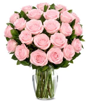 Exclusive Pink Rose Arrangement - 24 Stems