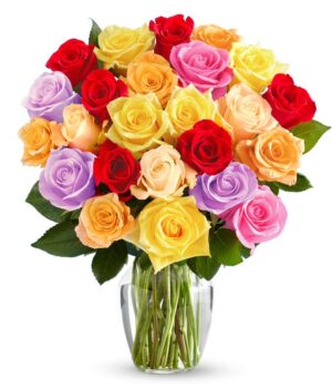 Two Dozen Rainbow Roses