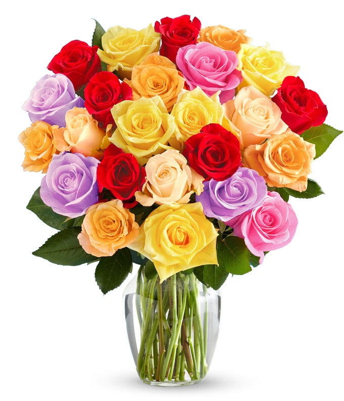F-227.jpg Two Dozen Rainbow Roses
