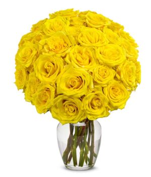 Two Dozen Yellow Roses
