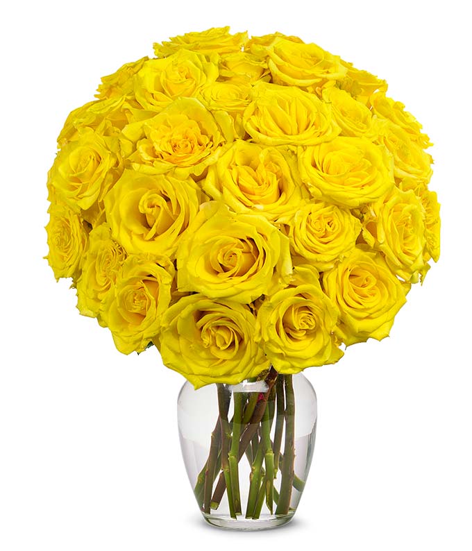 F-229.jpg Two Dozen Yellow Roses