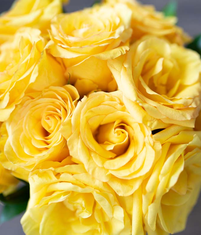 F-229_A3.jpg Two Dozen Yellow Roses - Image 4