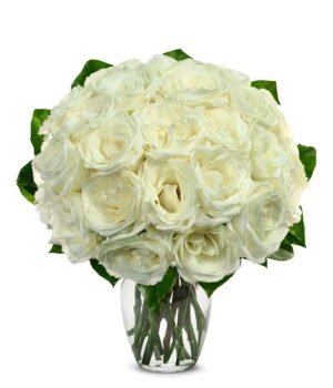 Two Dozen White Roses