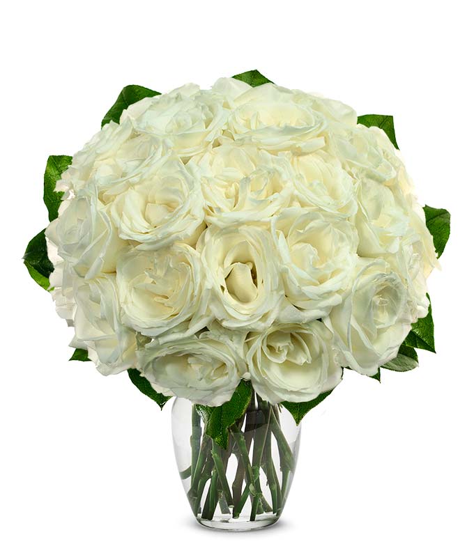 F-230.jpg Two Dozen White Roses