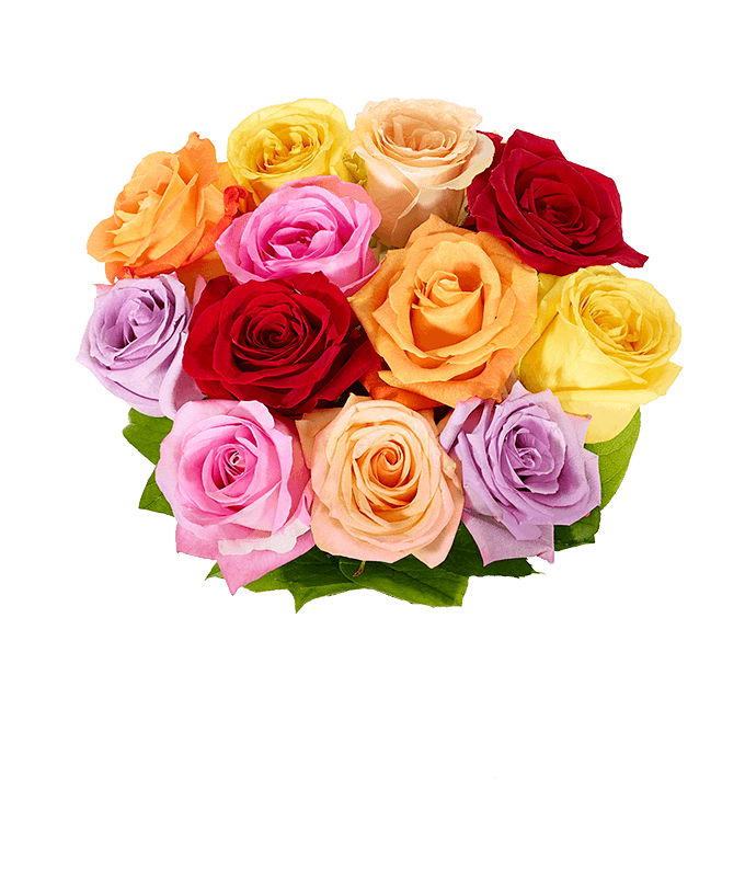 F-231_H.png One Dozen Rainbow Roses - Image 2