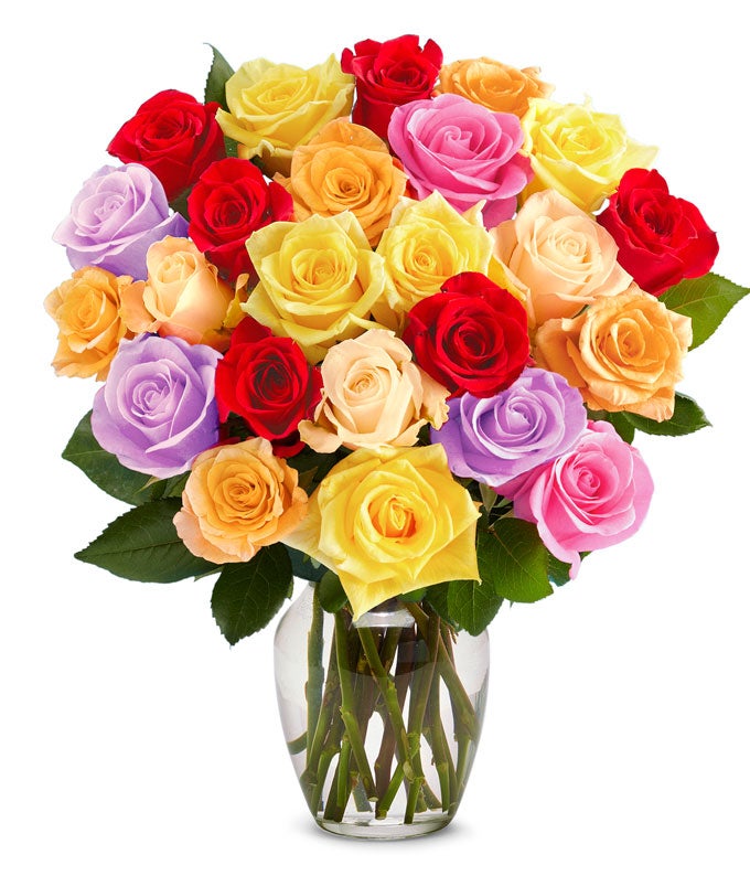 F-233.jpg Two Dozen Rainbow Roses