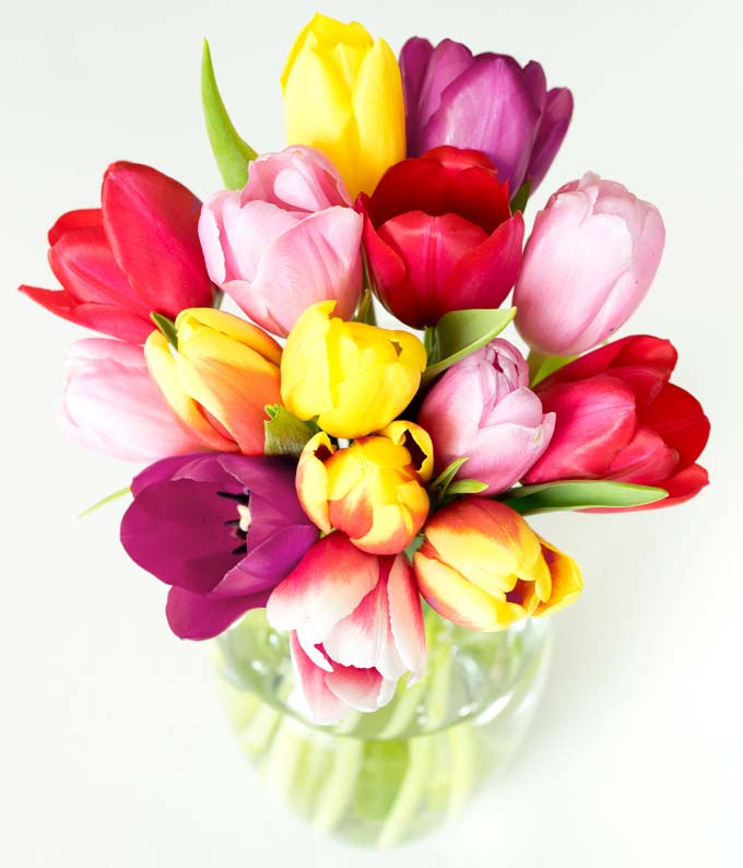 F-239_A2.jpg Rainbow Tulip Bouquet - 15 Stems - Image 3