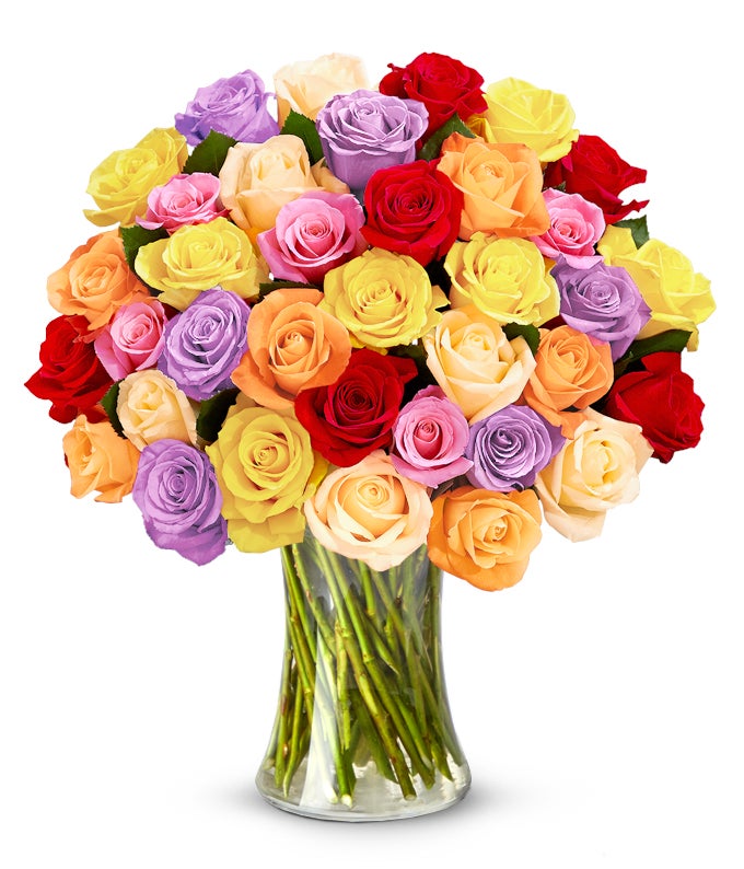 F-278_VGA-1.jpg Three Dozen Rainbow Roses