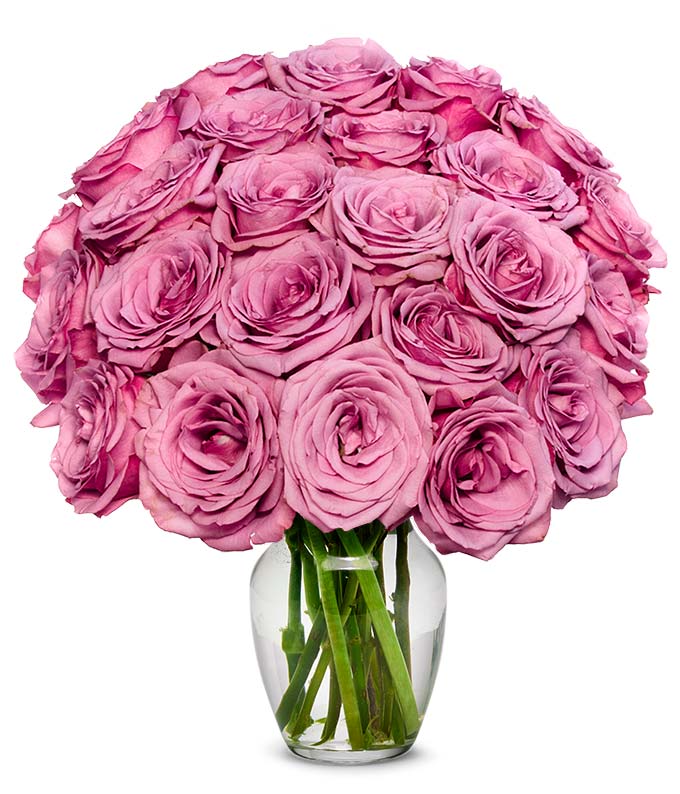 F-288.jpg Two Dozen Purple Roses