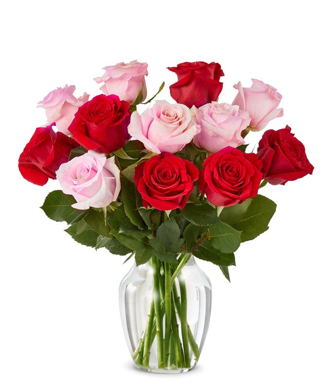 F-336.jpg One Dozen Red and Pink Roses