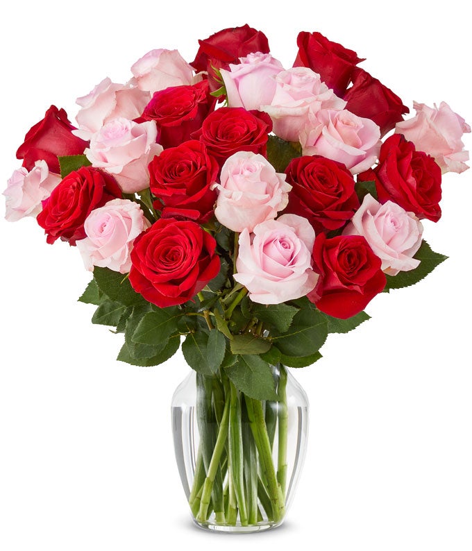 F-338.jpg Two Dozen Red & Pink Roses