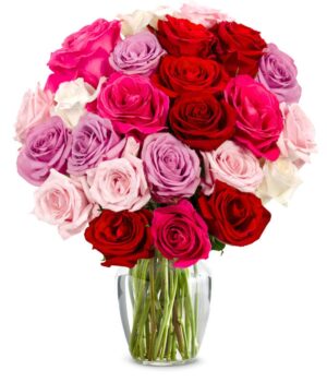 Two Dozen Assorted Sweetheart Roses
