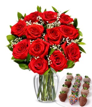 One Dozen Red Roses with Belgian Chocolate Birthday Berries