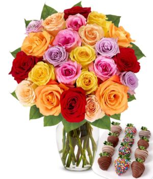 Two Dozen Rainbow Roses with Belgian Chocolate Birthday Berries
