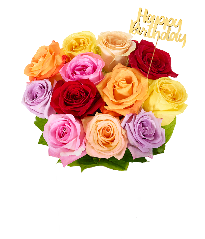 F-387_H.png One Dozen Rainbow Birthday Roses - Image 2