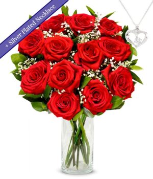 One Dozen Red Roses with Sterling Silver Heart Necklace