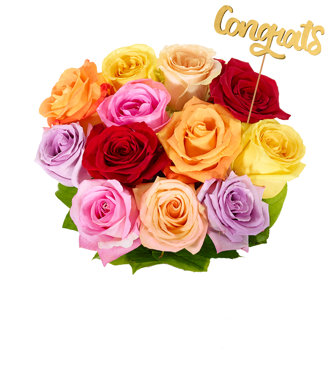 F-416_H.png Congrats! One Dozen Rainbow Roses - Image 2