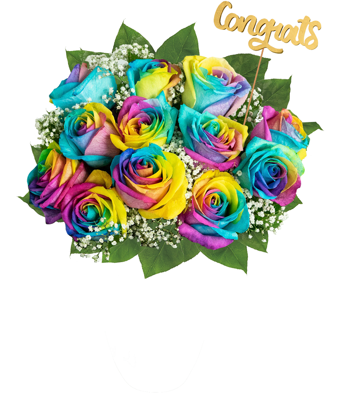 F-417_H.png Congrats! One Dozen Tie Dye Roses - Image 2