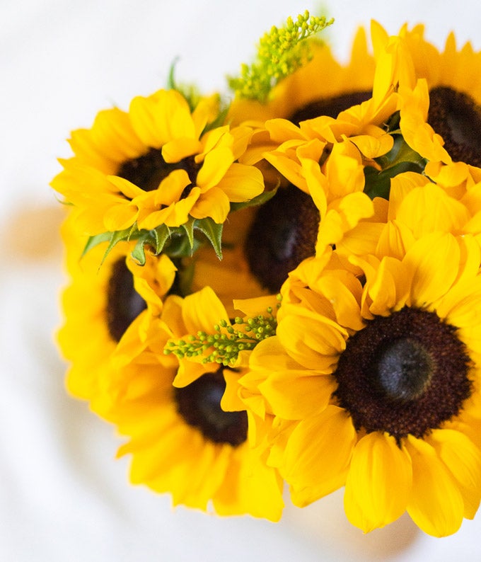 F-461_A3.jpg Stunning Sunflowers - Image 4