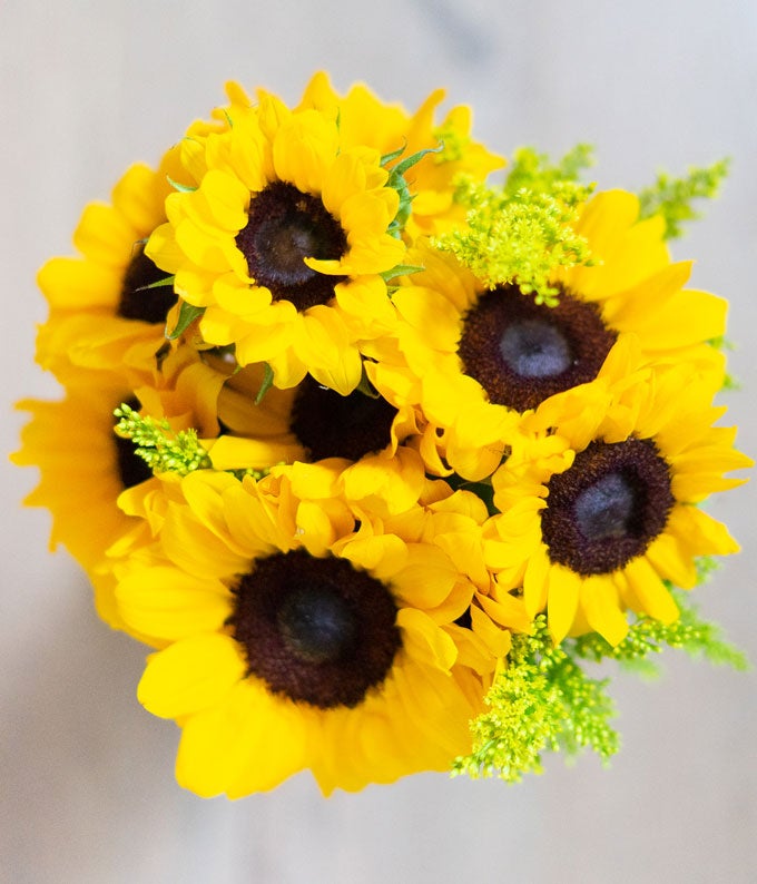 F-462_A4.jpg Stunning Sunflowers - Image 5