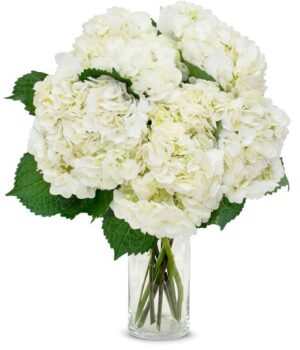 White Hydrangea Bouquet