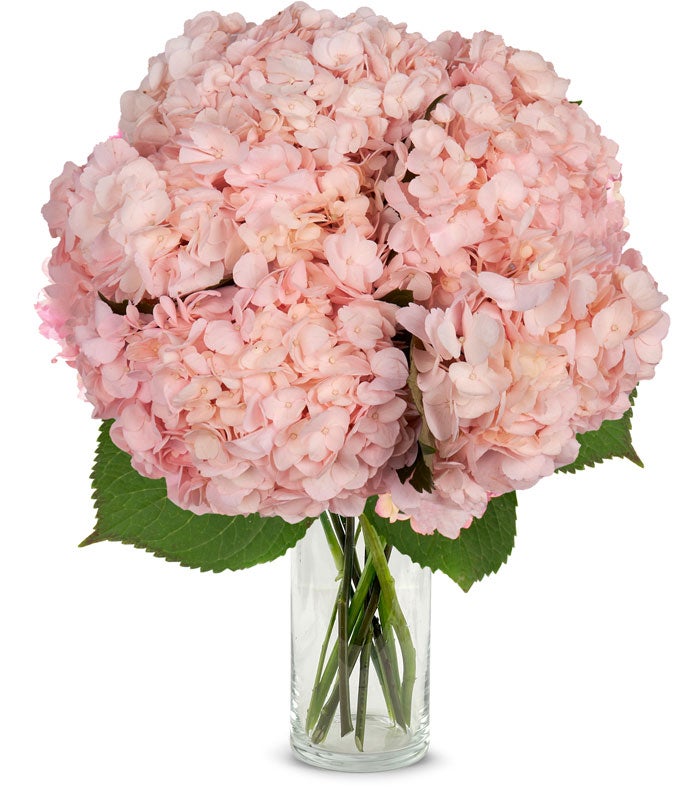 F-603_VCB.jpg Pink Hydrangea Bouquet