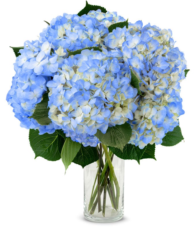 F-604_VCB.jpg Blue Hydrangea Bouquet