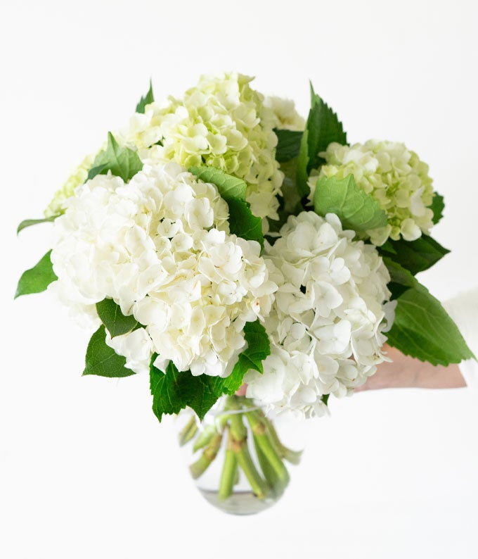 F-605_A2.jpg White & Mini Green Hydrangea Bouquet - Image 3