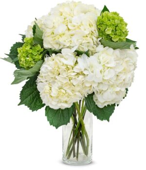 White & Mini Green Hydrangea Bouquet