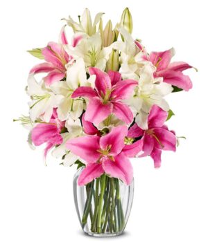Stunning Pink and White Lilies