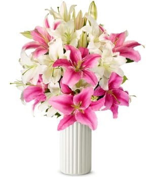 Stunning Pink and White Lilies