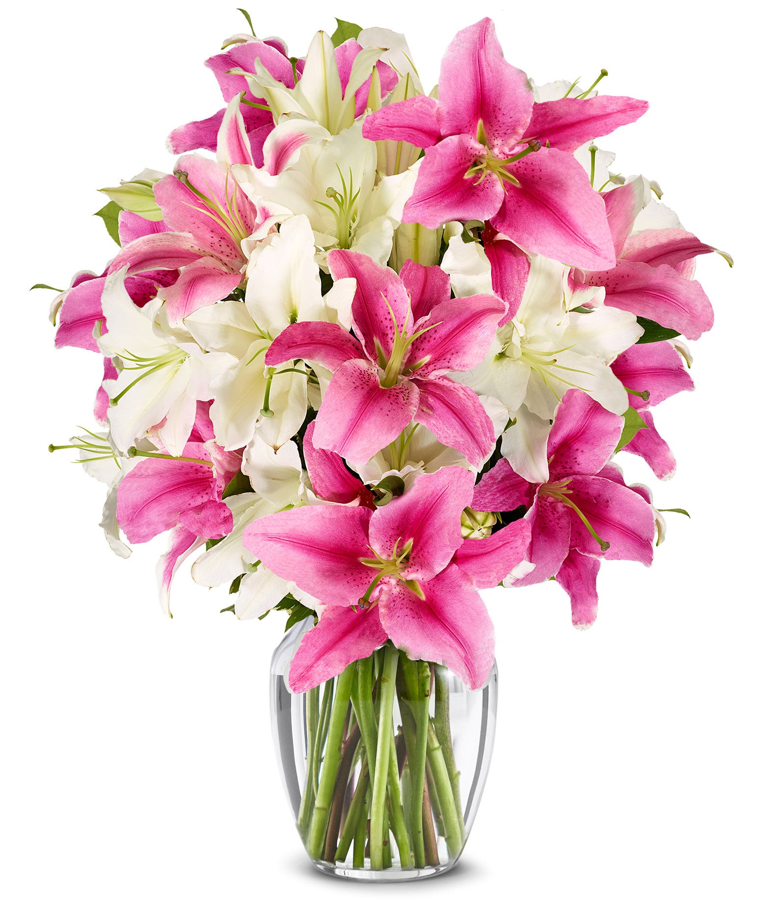 F-670.jpg Stunning Pink and White Lilies - Premium