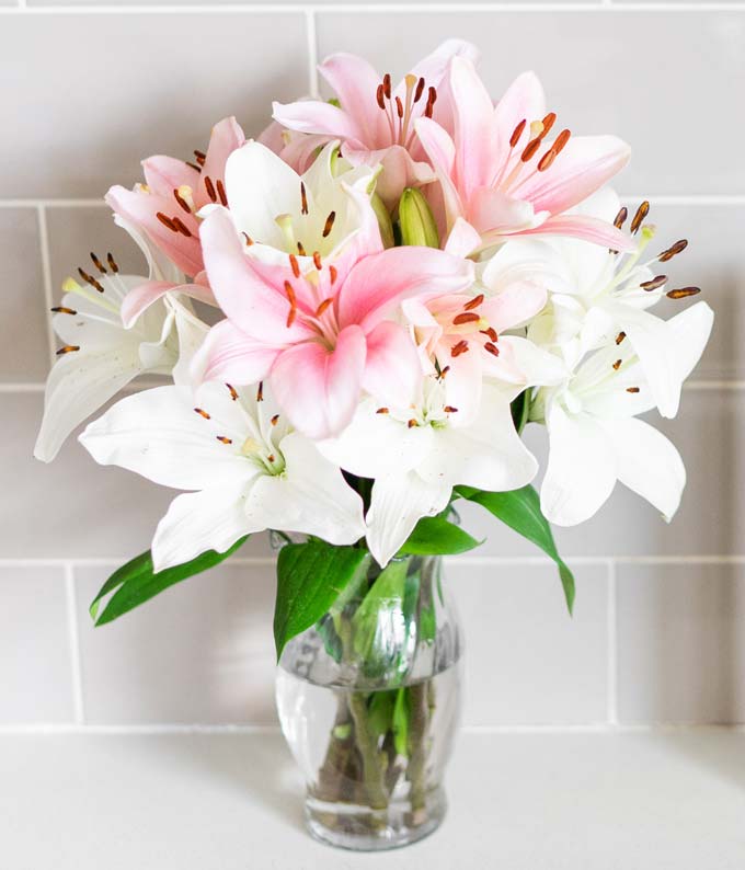 F-670_A3.jpg Stunning Pink and White Lilies - Premium - Image 4