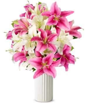 Stunning Pink and White Lilies - Premium